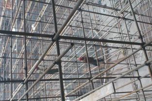 百業(yè)信息 分類信息 